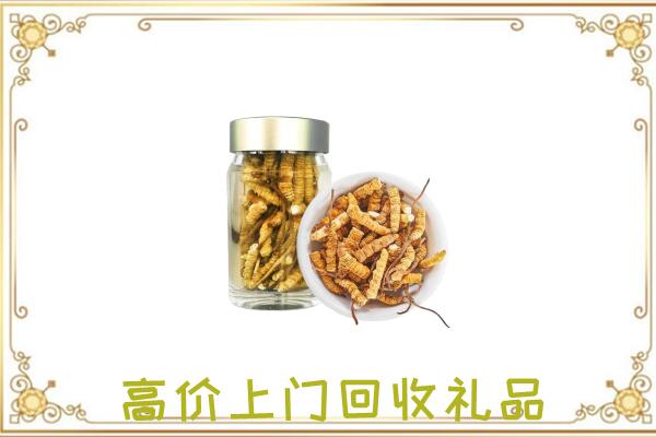 本溪周边回收虫草